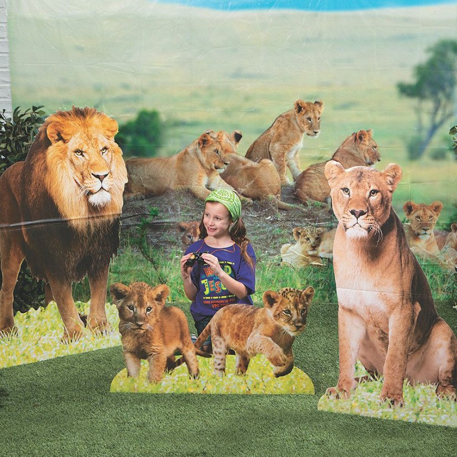 Decorating Kits * | Top 10 African Safari Vbs Decorating Kit 4 Pc.